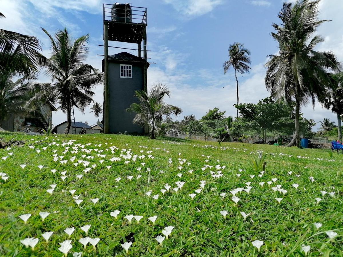 Afro Beach Eco Resort Butre Eksteriør billede