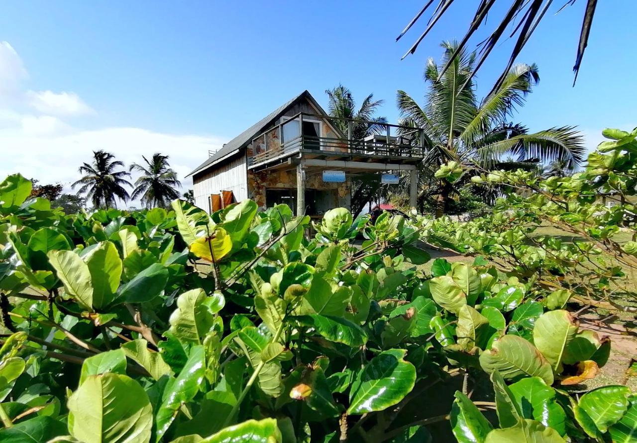 Afro Beach Eco Resort Butre Eksteriør billede