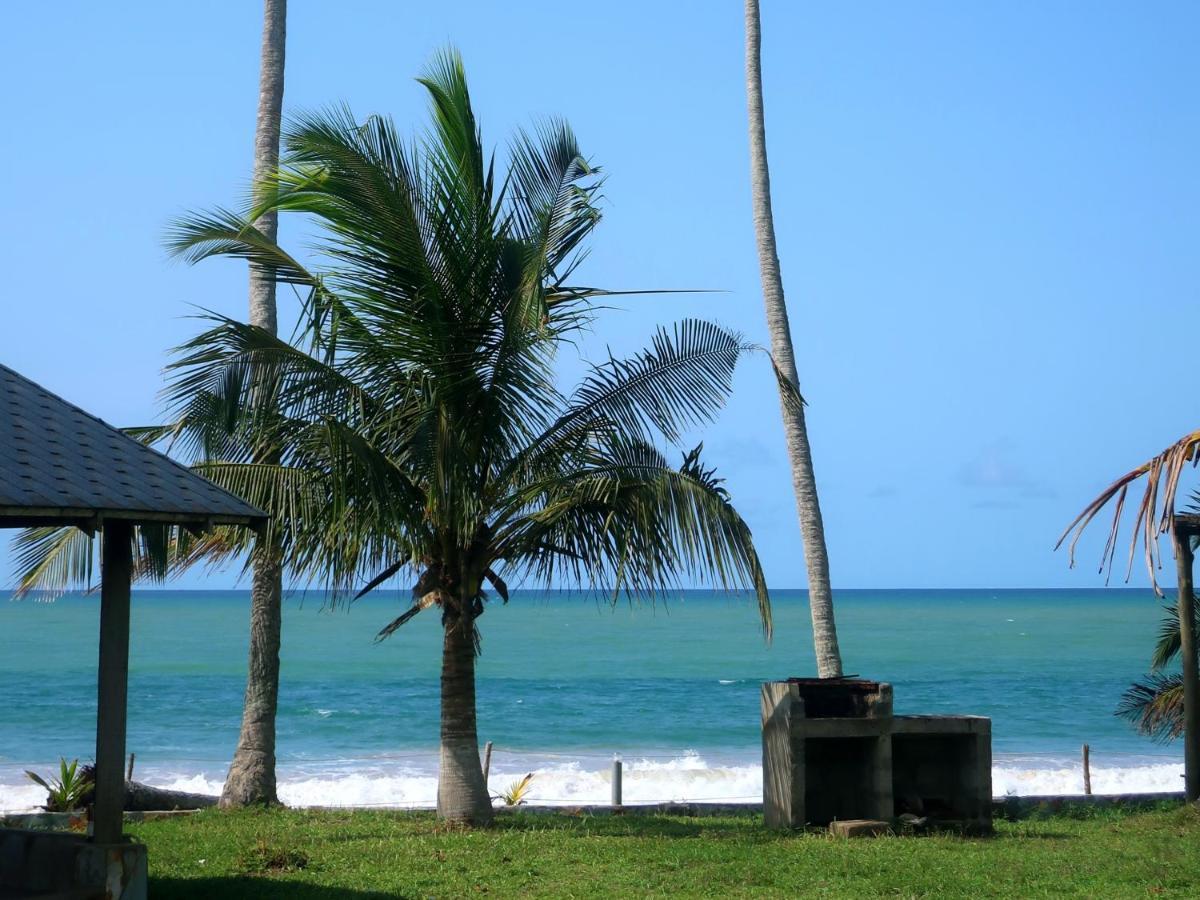 Afro Beach Eco Resort Butre Eksteriør billede