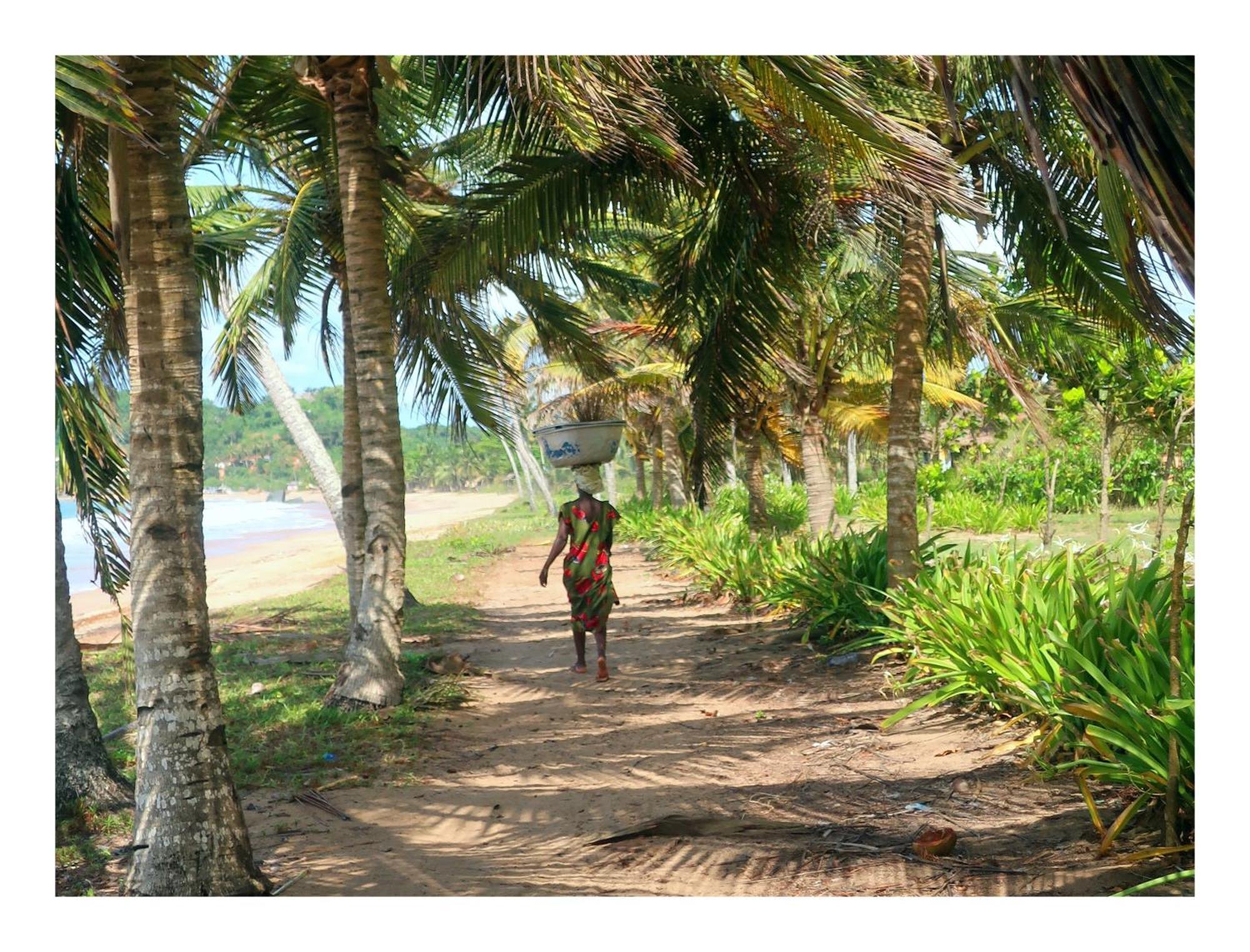 Afro Beach Eco Resort Butre Eksteriør billede
