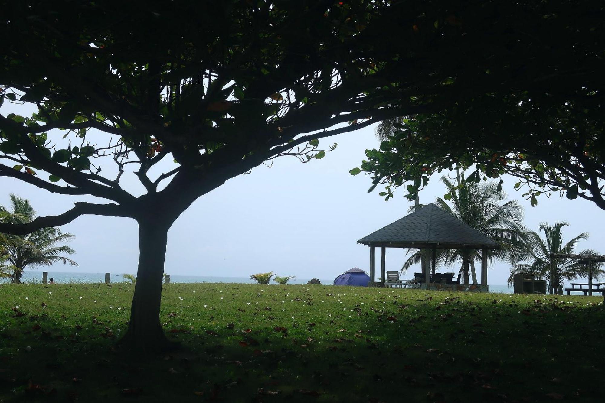 Afro Beach Eco Resort Butre Værelse billede