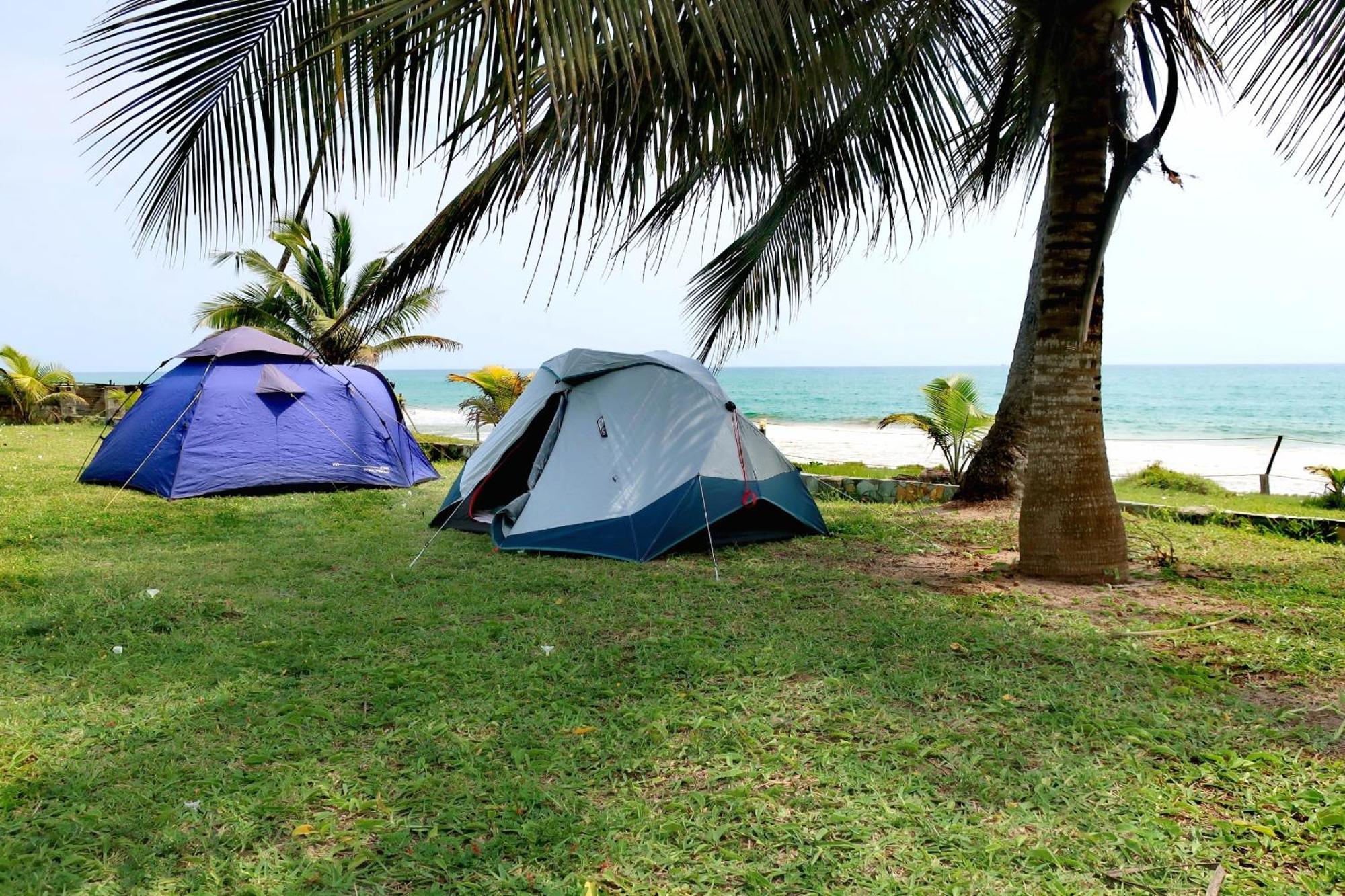Afro Beach Eco Resort Butre Eksteriør billede