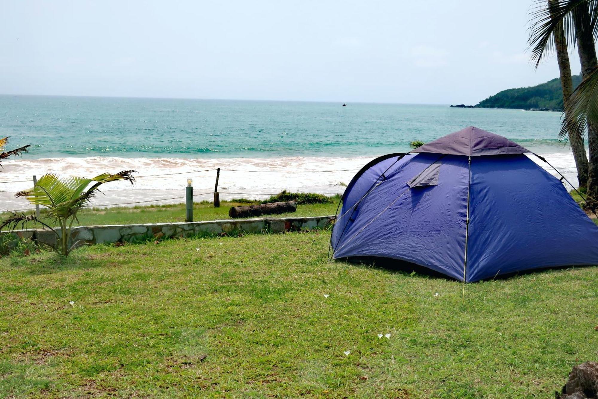 Afro Beach Eco Resort Butre Værelse billede