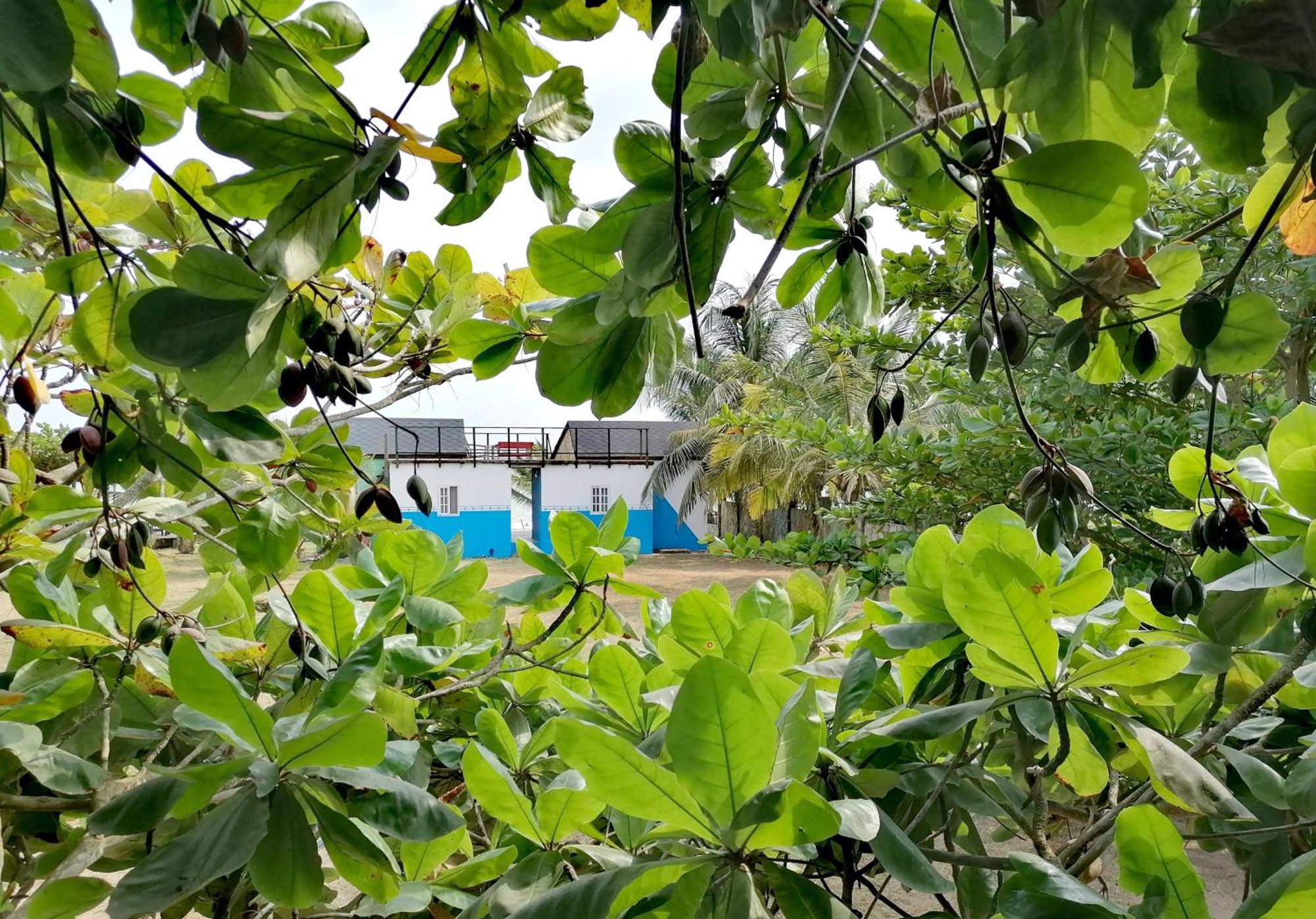 Afro Beach Eco Resort Butre Værelse billede