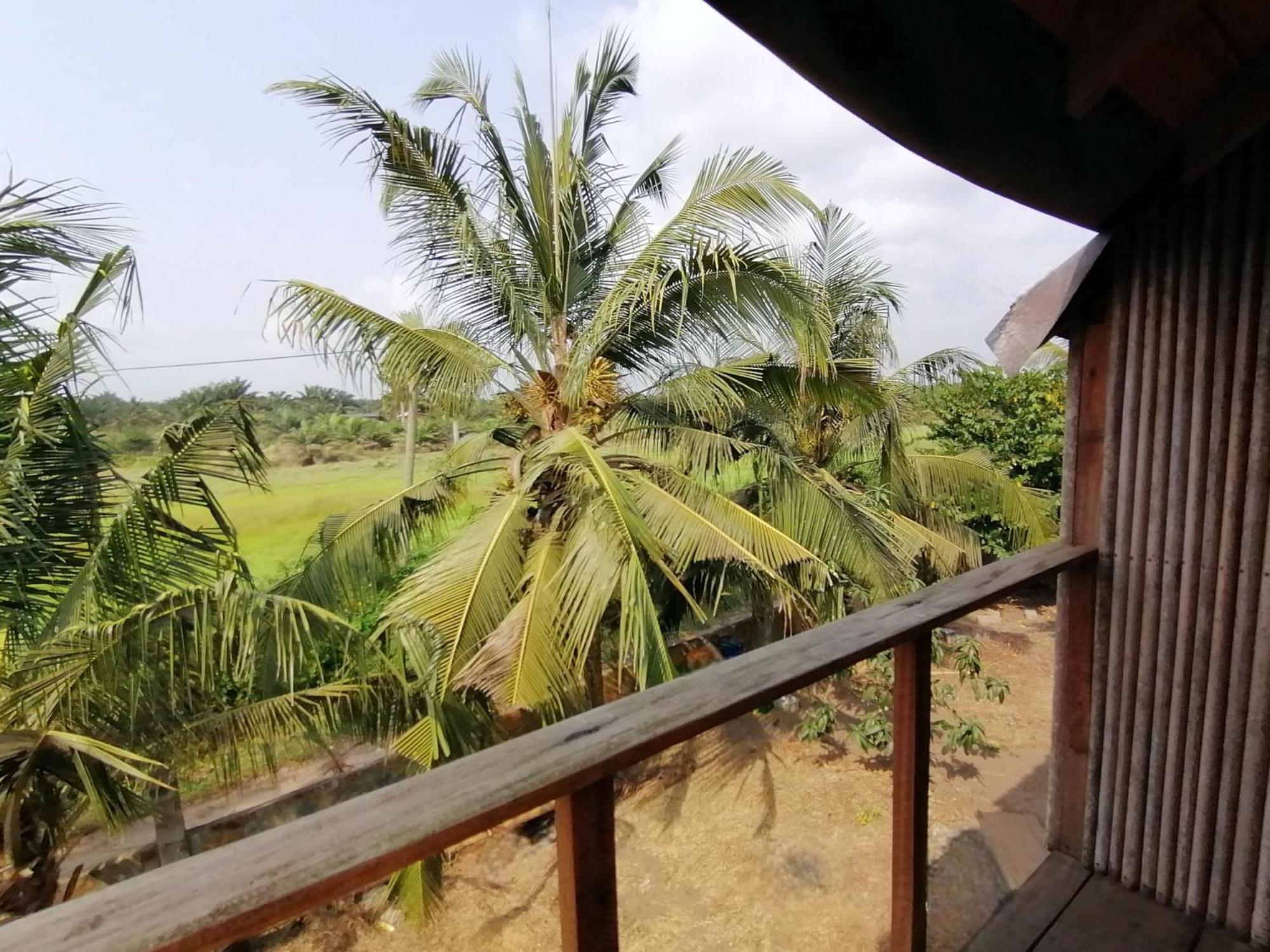 Afro Beach Eco Resort Butre Værelse billede