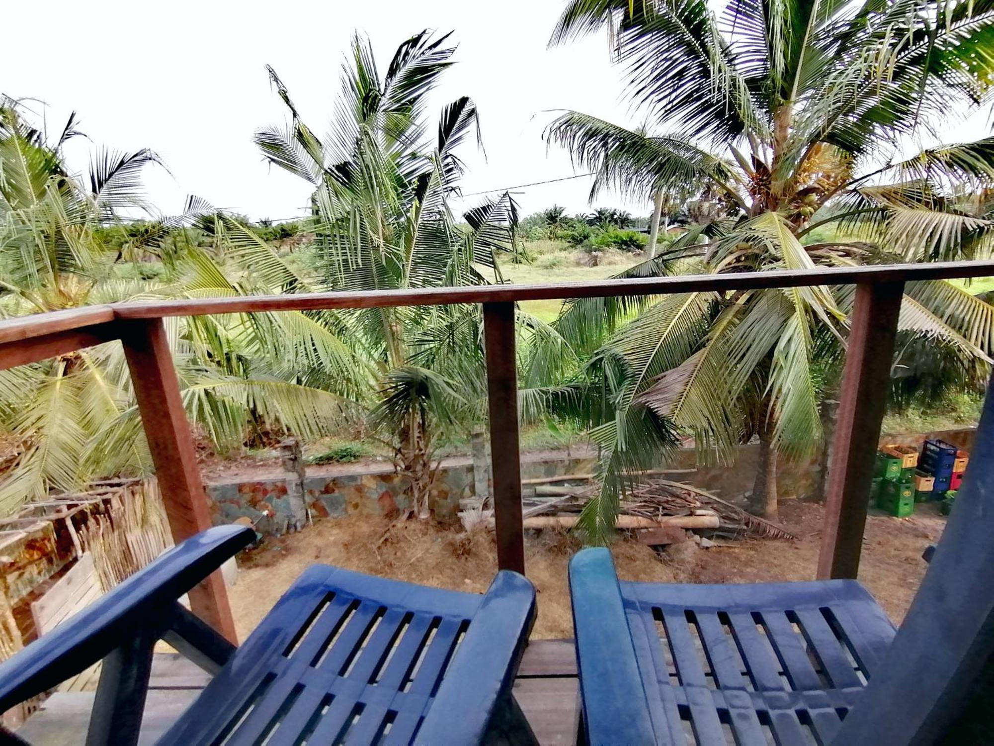 Afro Beach Eco Resort Butre Værelse billede